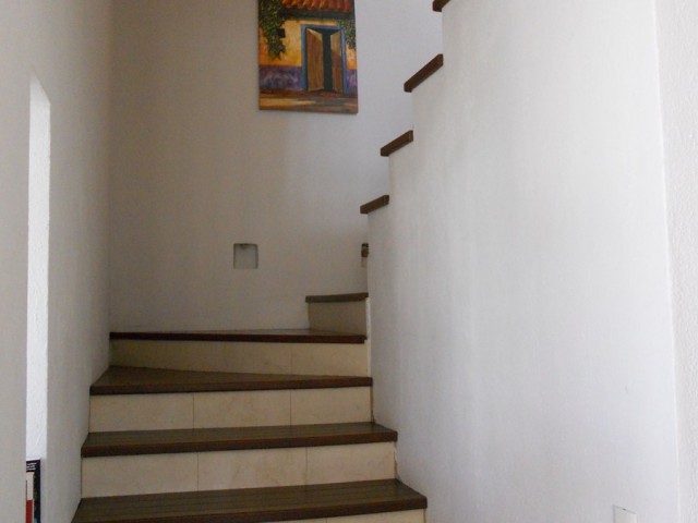 DSCN0121
